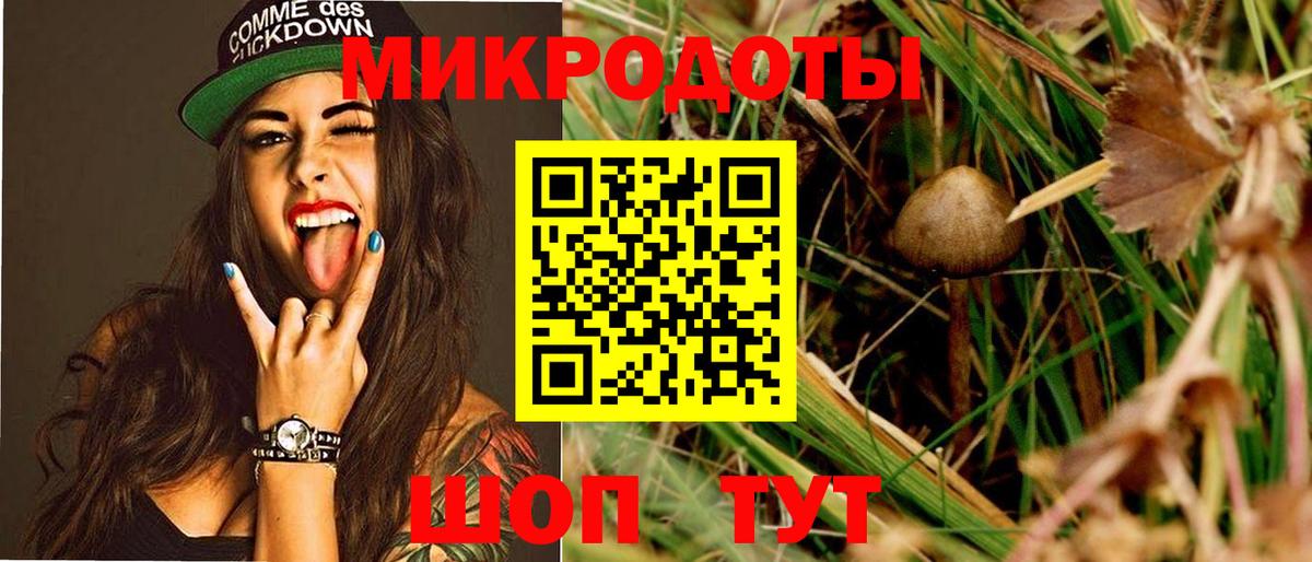 Нижнекамск  Галлюциногенные грибы прущие грибы  Вход с VPN 